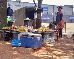 Street Vendors